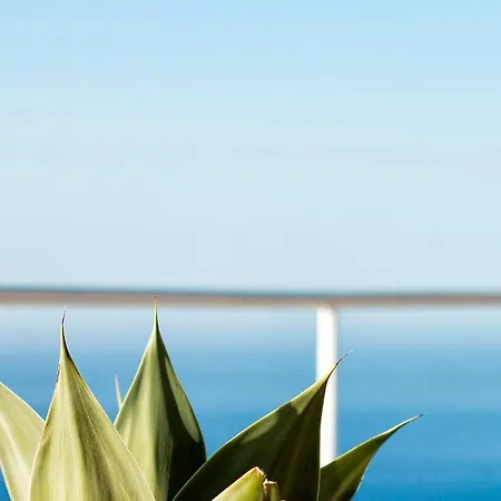 La Almendra Blanca - A Hidden Gem On The Mediterranean ヴィラ *