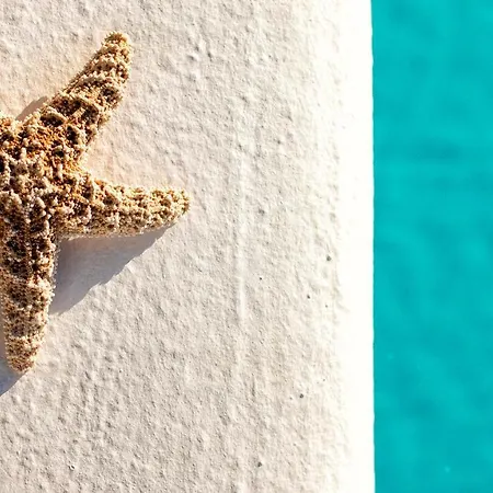 Villa La Almendra Blanca - A Hidden Gem On The Mediterranean *
