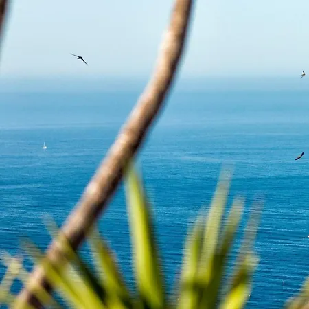 La Almendra Blanca - A Hidden Gem On The Mediterranean